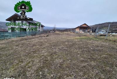 Spațiu comercial, în Tomești - 5