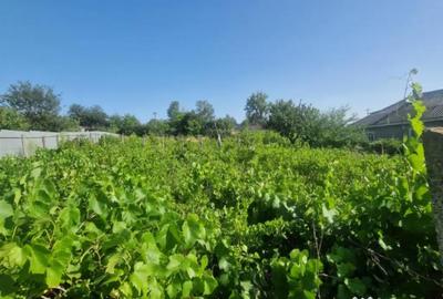 Teren de 1100 mp, în Nufăru - 2