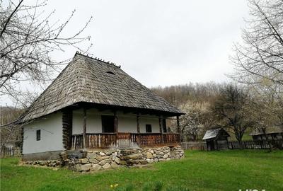 Casă cu 2 camere cu Teren 5000 Mp în Râmeț - 1