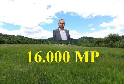 Borlovenii Noi, Teren Drept, 16000mp, la Limita Localitatii - 18