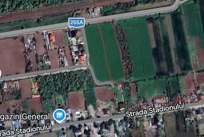 Spațiu comercial, în Traian - 1