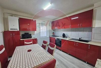 Apartament in Cotu mic - 2