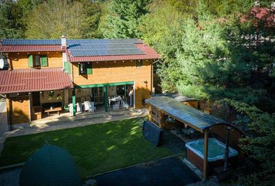 Casa de vacanta superba in Crivaia - 2