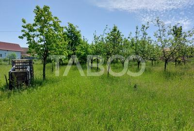 Casa individuala 5 camere cu teren 2000 mp Sura Mare Hamba Sibiu - 14