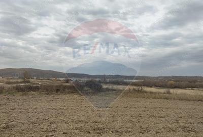 Teren de 11900 mp, în Fârdea - 9
