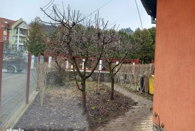 Casă cu 3 camere cu Teren 500 Mp în Central - 4