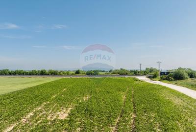 Teren agricol extravilan de 6193 mp, în Sud-Est - 26