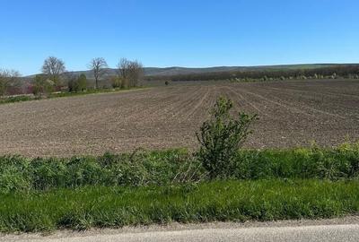 Spațiu comercial, în Bălteni - 3