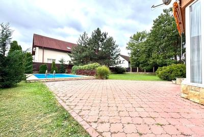 Individual villa with swimming pool Iancu Nicolae - 4