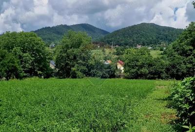 Teren 2743 mp, 2 fronturi, asfalt Vii?oara, Neam? - 2