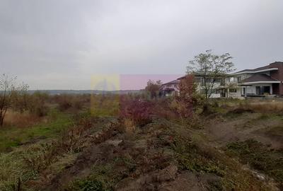 Teren în Corbeanca - 2