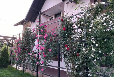 Casă cu 4 camere în Mehedința - 7