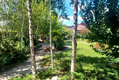 CLUB SNAGOV-VILA SUPERBA, TOTAL PRIVACY,FINISAJE LUX,CURTE 2000  MP,565000 EURO - 39