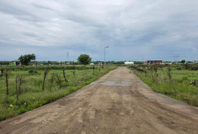 Teren Construcții intravilan de 529 mp, în Frumușani - 11