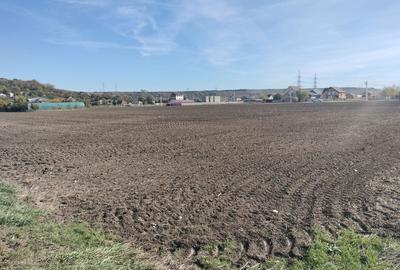 Spațiu comercial, în Proaspeți - 3