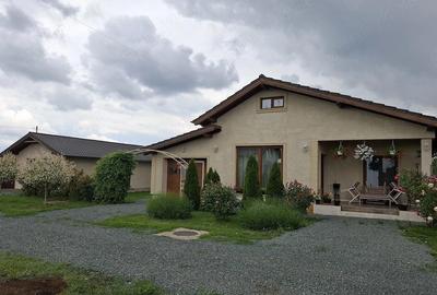 Teren de 400 mp, în Zădăreni