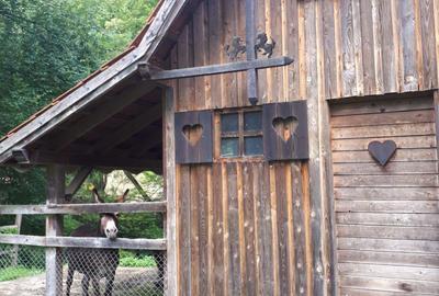 Spațiu comercial, de 350 mp, în Sighișoara - 6