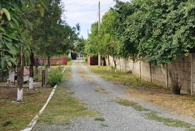 Vanzare 3 case moderne + 3 anexe si 2000 mp teren gradina, pomi in Tuzla la mare - 21