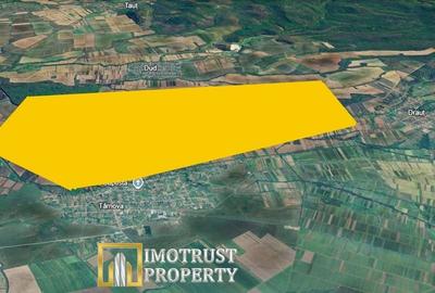 Teren agricol extravilan de 3.7799999713898 mp, în Târnova - 1