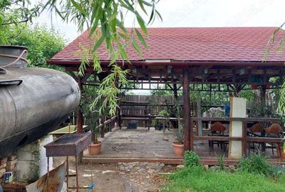 Vand casa mare cu livada, vie, gradina in Fratostita - 7