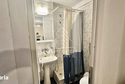 Apartament cu 4 camere, mobilat în Iosefin - 13
