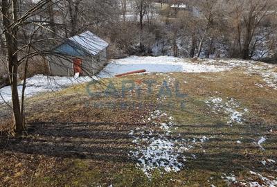 Comision 0%, Doman, Constructie 698 mp si 1800 mp de teren - 2