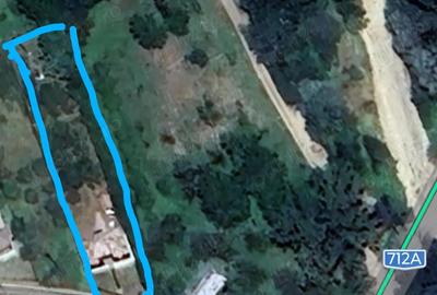 Vand casa cu mansarda ?i livada cu meri la poalele muntelui Leaota - 2