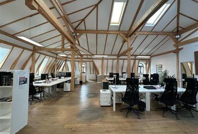 Spatii pentru birouri in vila - 233 mp - aproape km 0 - 14