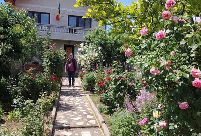 Casă cu 6 camere în Central - 1