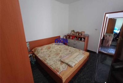 CASA CU POTENTIAL PARCUL CAROL - 13