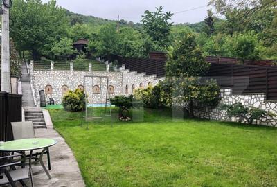 Casa 720 mp, gradina 2000 mp, 10 parcari, zona Donath! - 12