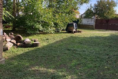 Casă cu 4 camere în Șicula - 10