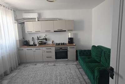 Apartament cu 2 camere nedecomandat, mobilat în Podu Roș - 1