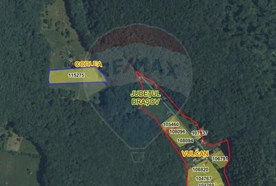 Teren de vanzare - Colonia 1 Mai, 5.310 mp, ideal pentru investitie - 12