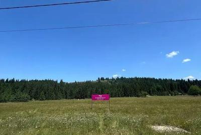 Teren de 40250 mp, în Comandău - 1
