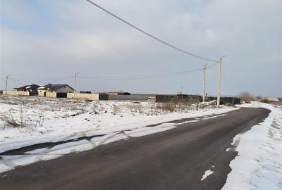 Teren Construcții intravilan de 5000 mp, în Dărăști-Ilfov - 1