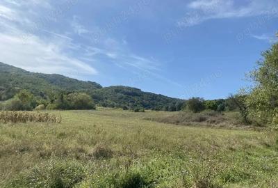 Casă cu 2 camere cu Teren 30000 Mp în Sichevița - 2