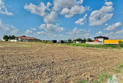 Oferta speciala luna aceasta  / Teren de vanzare / 2500 mp in Frumusani