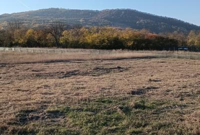 Teren intravilan 725mp deal - munte - 2