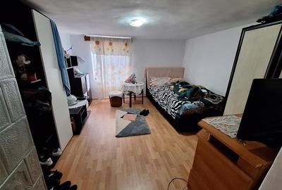 Proprietate ideala pentru familie extinsa sau investitie  Serbanesti, Bacau - 7