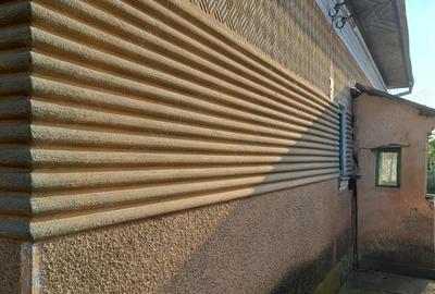 Casă cu 4 camere cu Teren 2500 Mp în Nicolae Bălcescu - 1