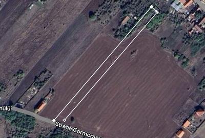 Teren Construcții intravilan de 5218 mp, în Giarmata-Vii - 1