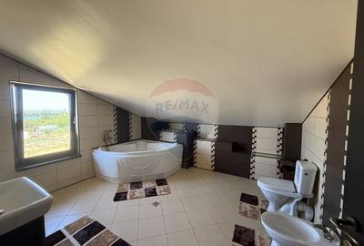 Casa de vacanta la 200m de Dunare - 36