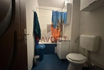 Apartament cu 2 camere semidecomandat în Dâmbovița - 11