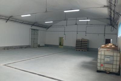 Hala de Inchiriat | Pallady | 400MP - 3