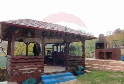 Casa cu 35 ari teren in Adancata sau schimb cu ap in Burd... - 5