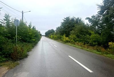 Vanzare 10.000 mp teren Liteni Suceava- la strada -potrivit proiect fonduri - 22