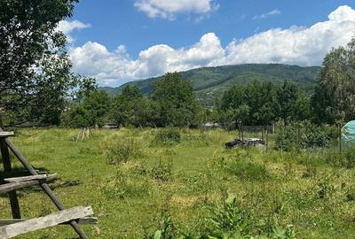 Teren de 740 mp, în Valea Doftanei