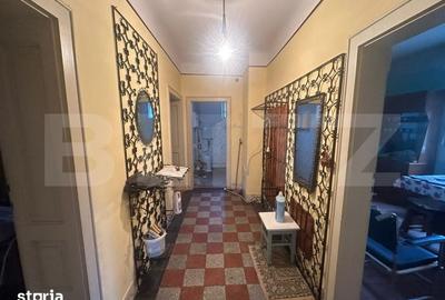 Casă cu 4 camere cu Teren 6197 Mp în Micula - 14