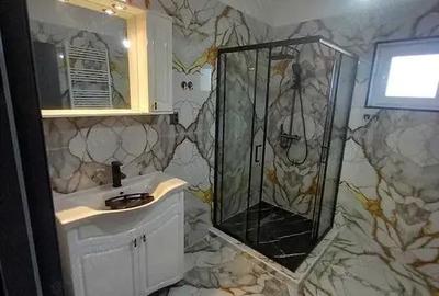 Casă cu 3 camere cu Teren 394 Mp în Beregsău Mare - 6